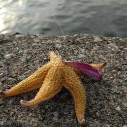 ルアー釣り、ロスト多発