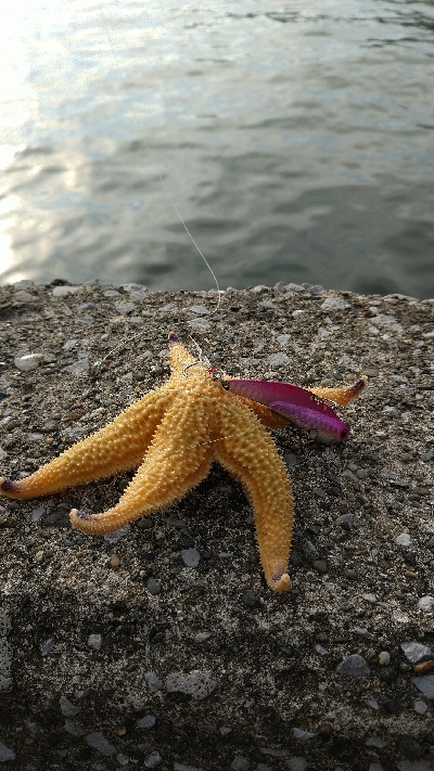 ルアー釣り、ロスト多発