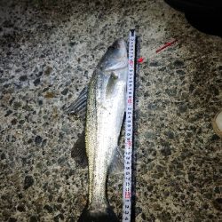 暖かい予報だったので・・・