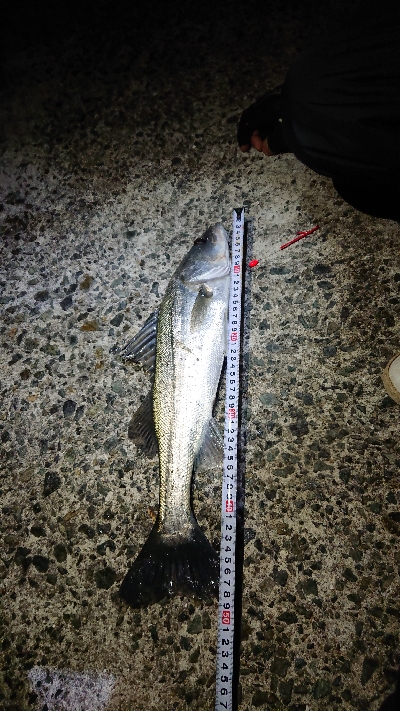 暖かい予報だったので・・・