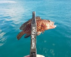 静岡遠征 ライトゲーム