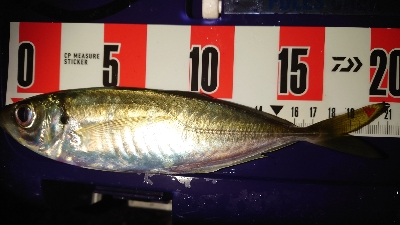 あー気持ちいいもー気持ちいい