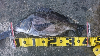 フッキングの練習