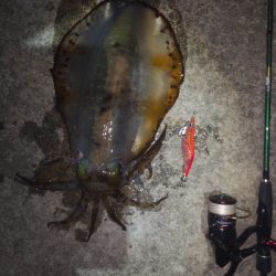 久々のキロup！