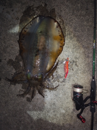 久々のキロup！