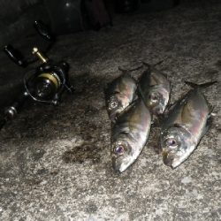 性懲りもなく・・・