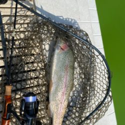 春の陽気の中、エリアトラウト