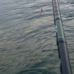 雨上がりの朝マヅメ