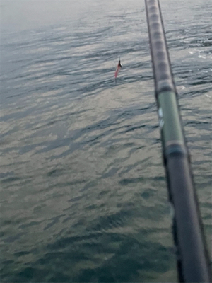 雨上がりの朝マヅメ