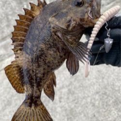 ワームで穴釣り！