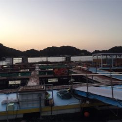 おさかな村は本当におさかな村だった^_^