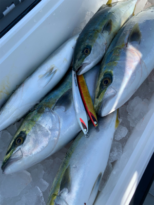 沼島のジギング