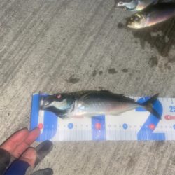 お気に入りのポイントへ