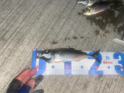 お気に入りのポイントへ