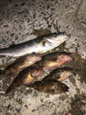 寒いなか探り釣り