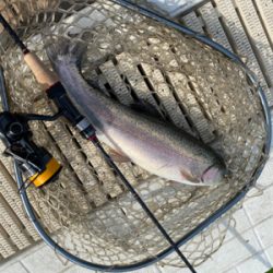 服部緑地 午後 TVの取材が・・・。