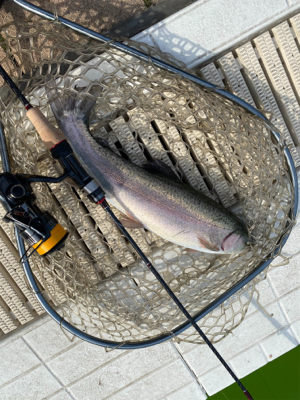 服部緑地　午後　TVの取材が・・・。