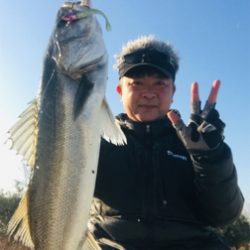 コスモスクエア釣果