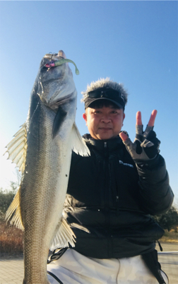 コスモスクエア釣果