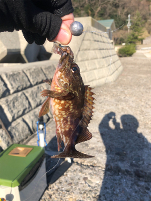 穴釣りからのメバリング