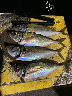 見えてはいるが、、