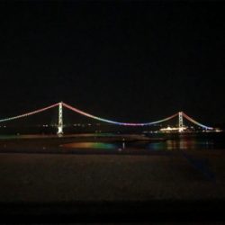 癒しのガッシー