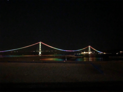 癒しのガッシー