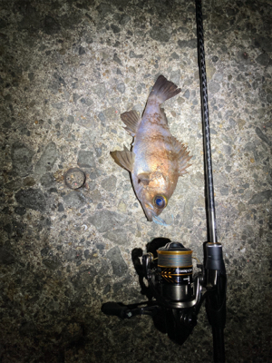 フロートメバリング