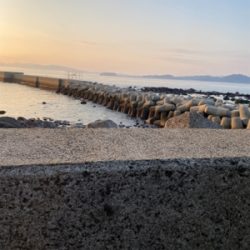 マイクロジギング