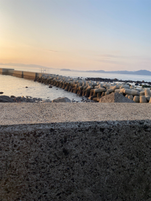 マイクロジギング