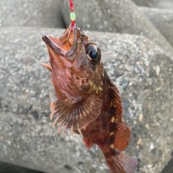 穴釣りサイコー!