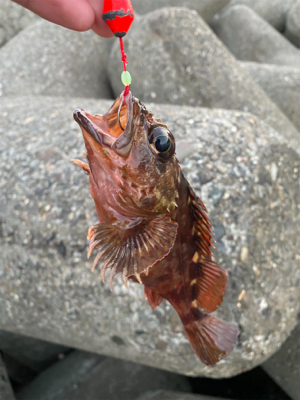 穴釣りサイコー！