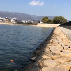 釣れると思っていたけれど