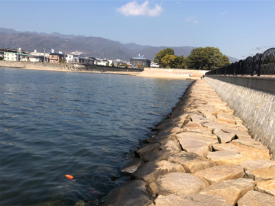 釣れると思っていたけれど