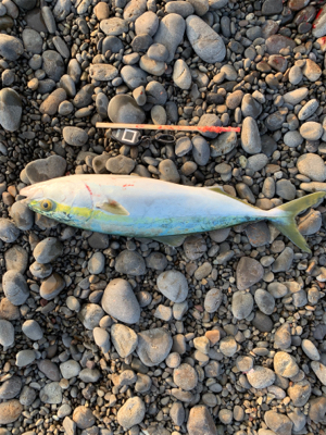 絶好の釣り日和