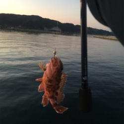 ひさびさの釣果❗️