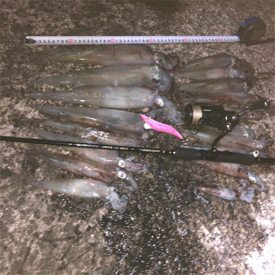 2021 佐渡ヶ島ヤリイカエギング