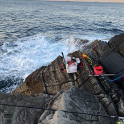 磯でグレ釣り