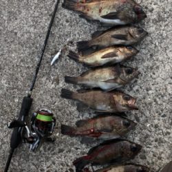 フラットゲーム前のメバリング