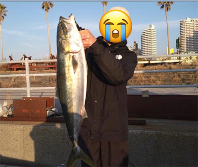 念願のブリ釣れました!