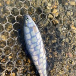 加賀フィシングエリア