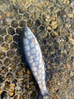 加賀フィシングエリア