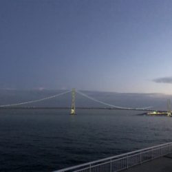 なんとか釣れた