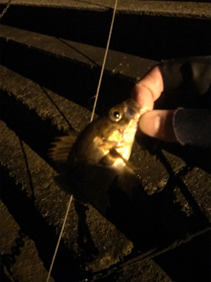 暇つぶしにライト五目