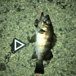 上昇傾向メバリング