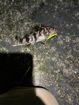 まだ春は遠い？