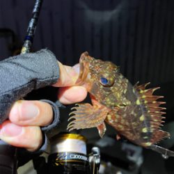 ガシラマンション探し