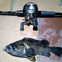 爆風の中なんとか1匹