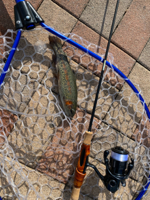 服部緑地　そろそろ数釣りには水温限界かも