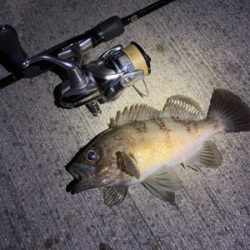 テスト明けの至福タイム